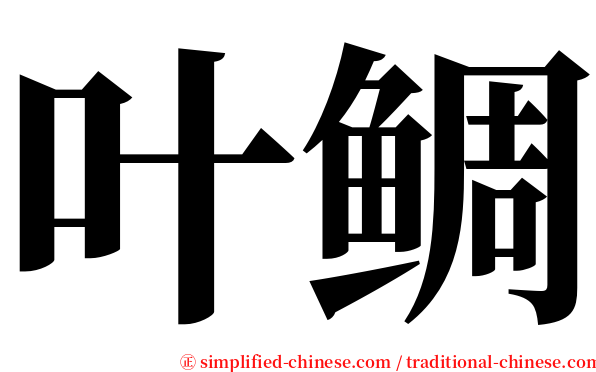 叶鲷 serif font