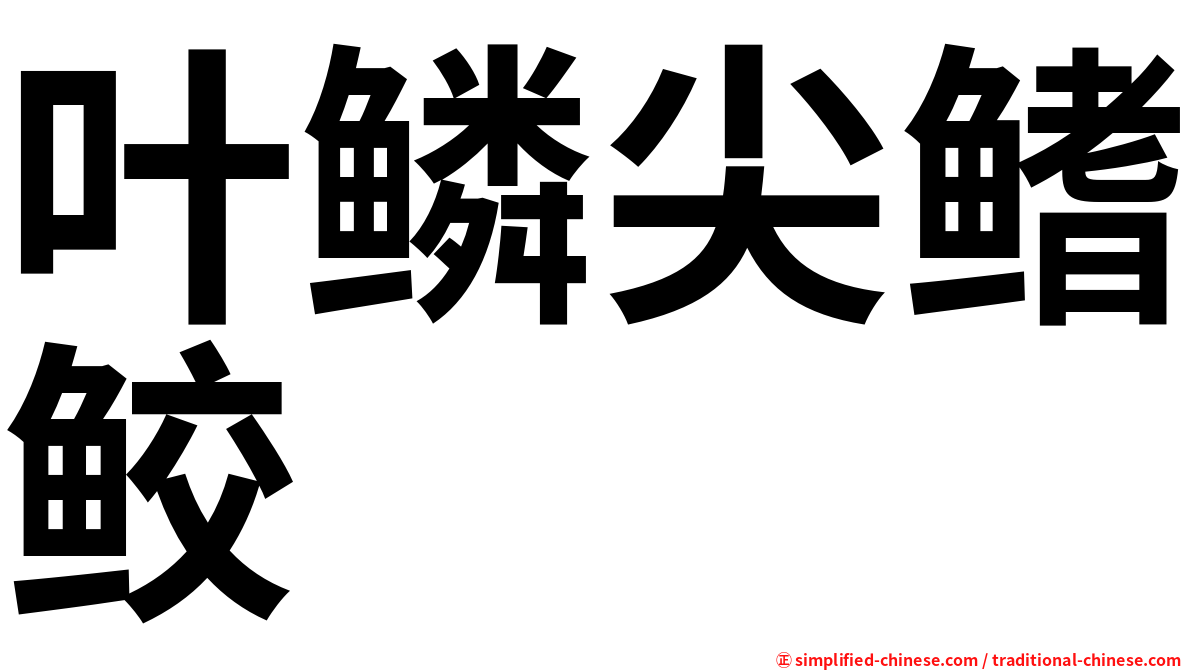 叶鳞尖鳍鲛