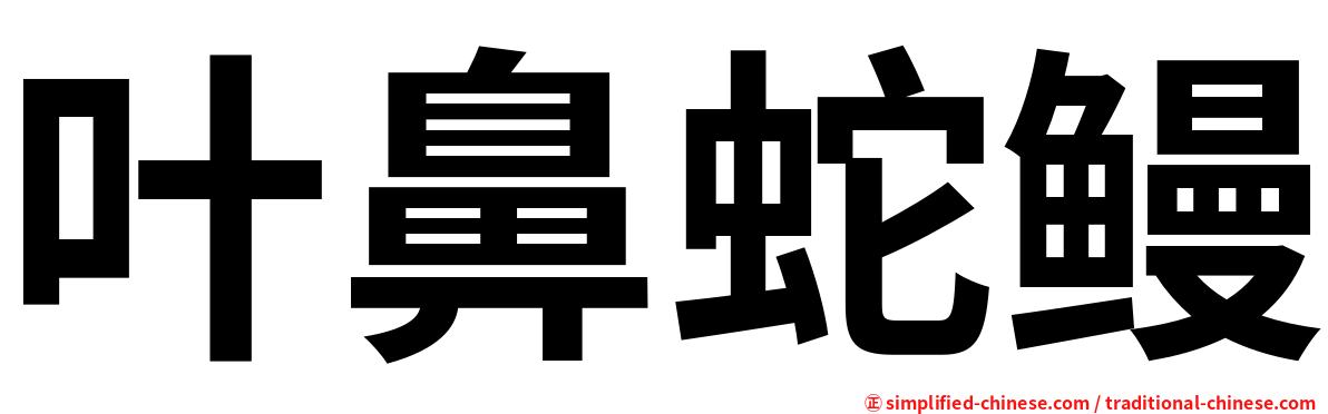 叶鼻蛇鳗
