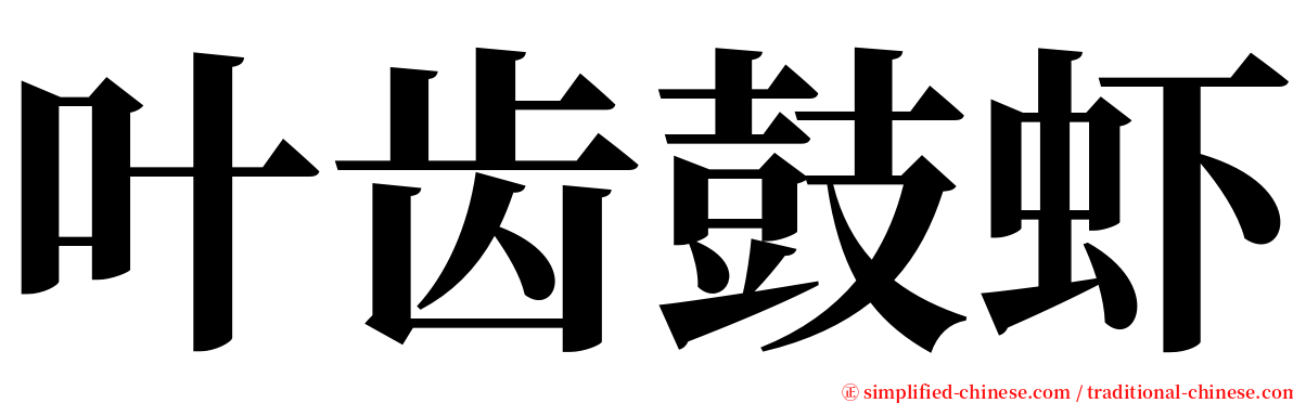 叶齿鼓虾 serif font