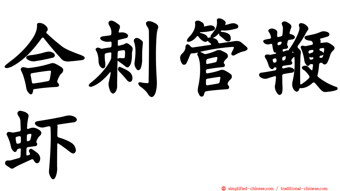 合刺管鞭虾