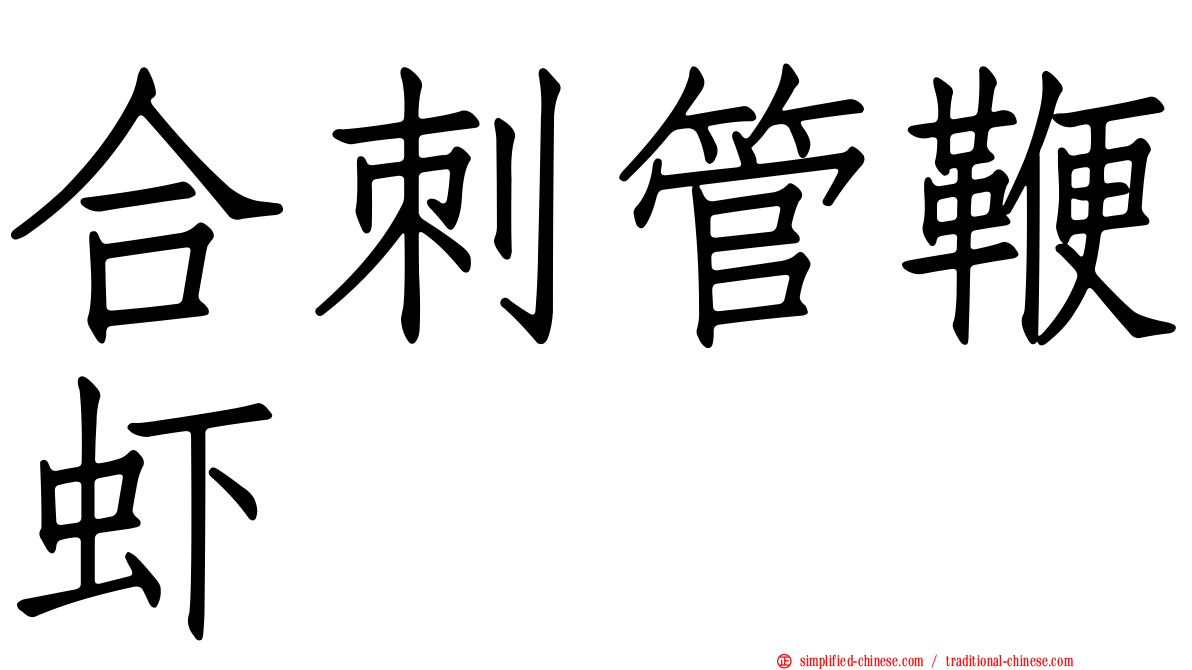 合刺管鞭虾