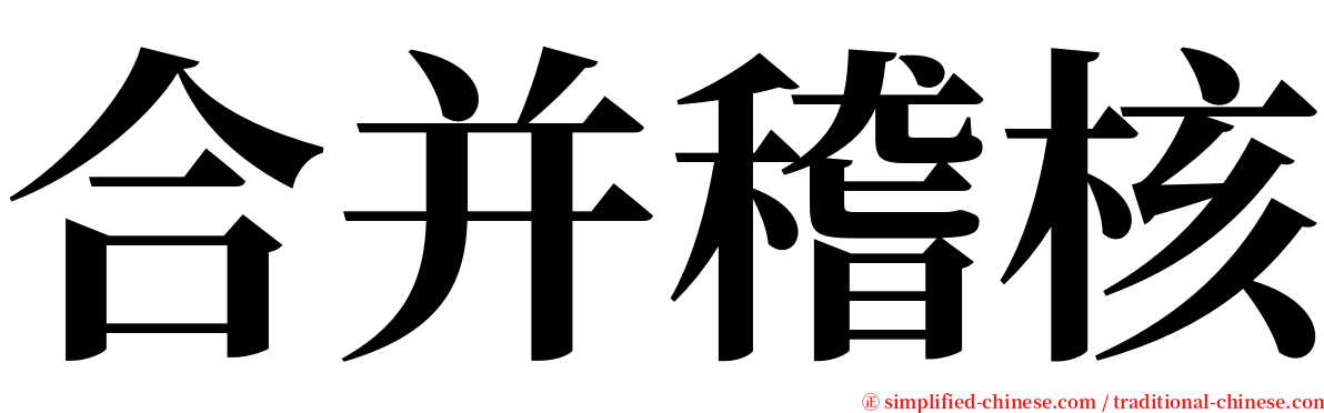 合并稽核 serif font