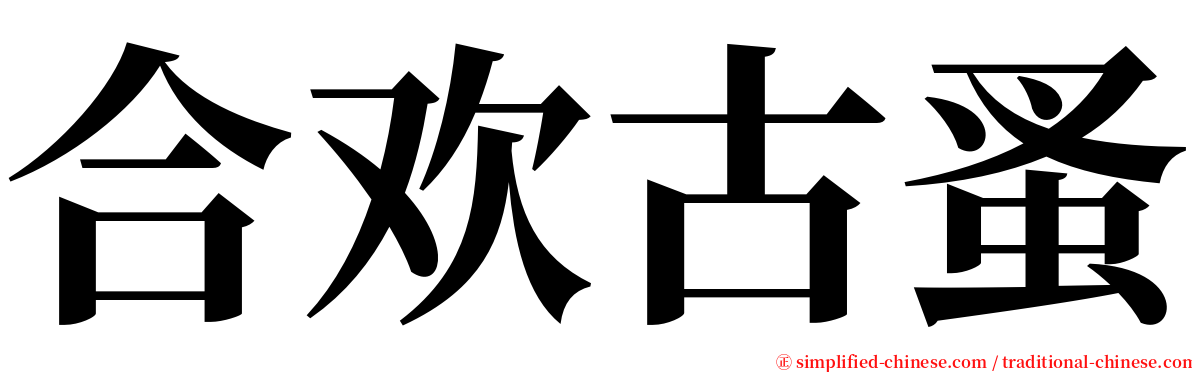 合欢古蚤 serif font