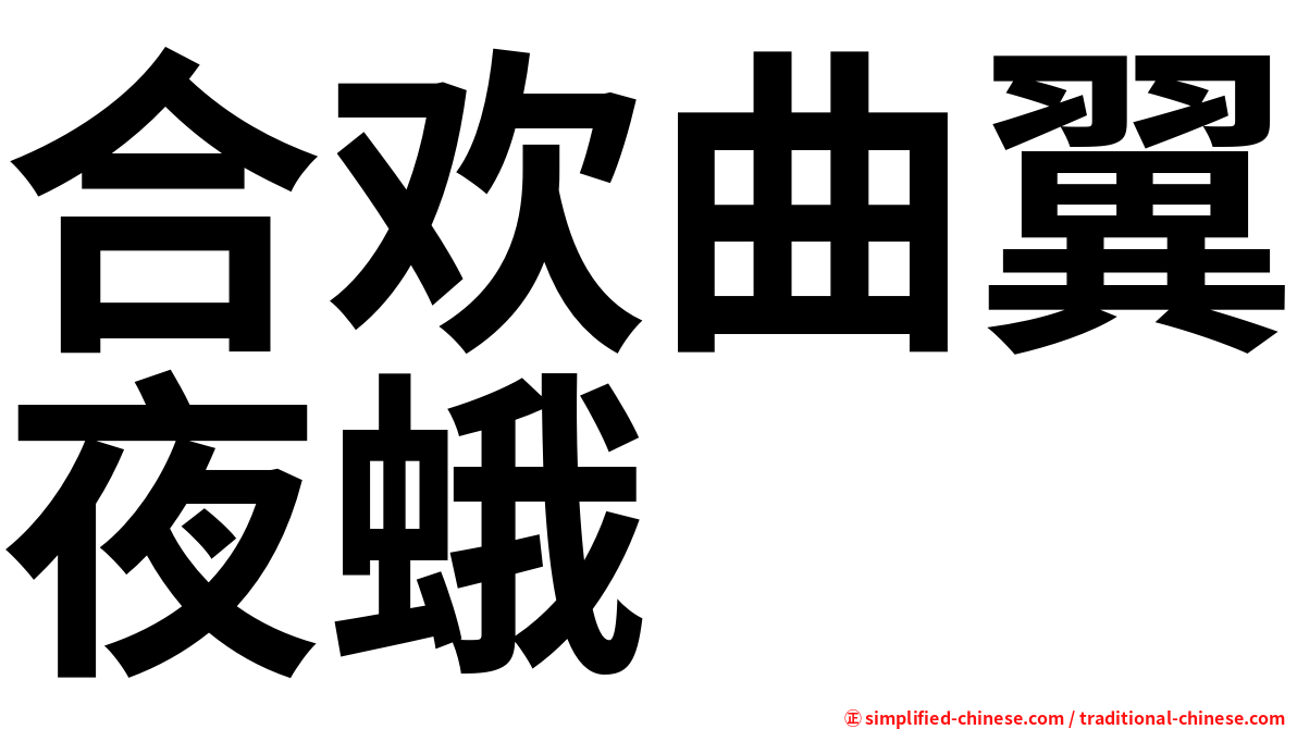 合欢曲翼夜蛾