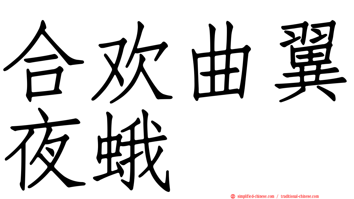 合欢曲翼夜蛾