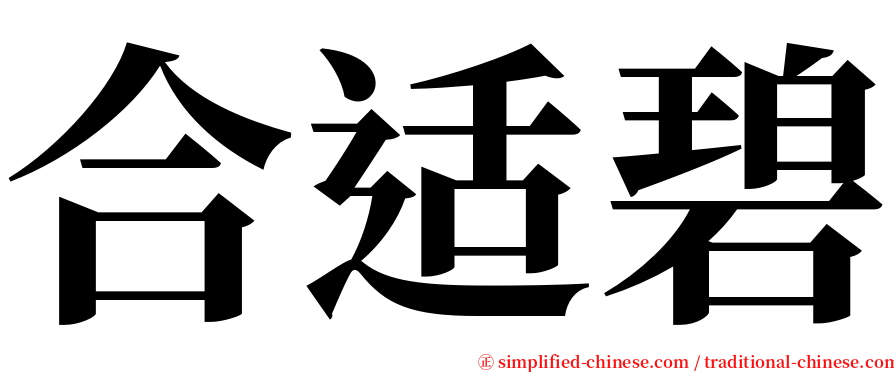 合适碧 serif font