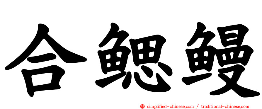 合鳃鳗