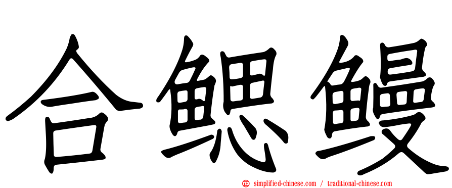 合鳃鳗