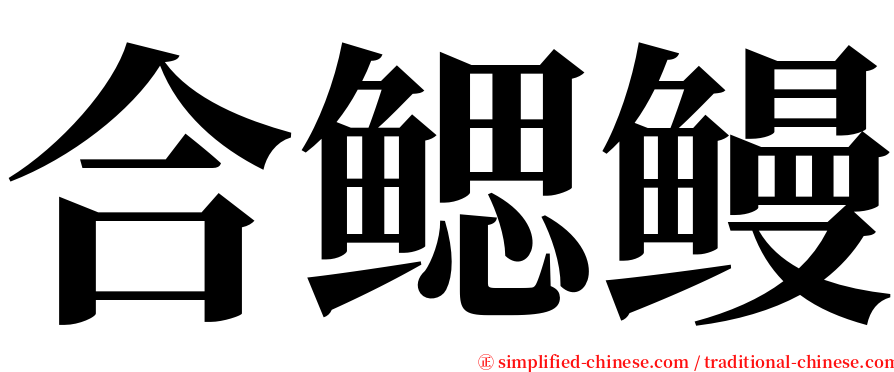 合鳃鳗 serif font