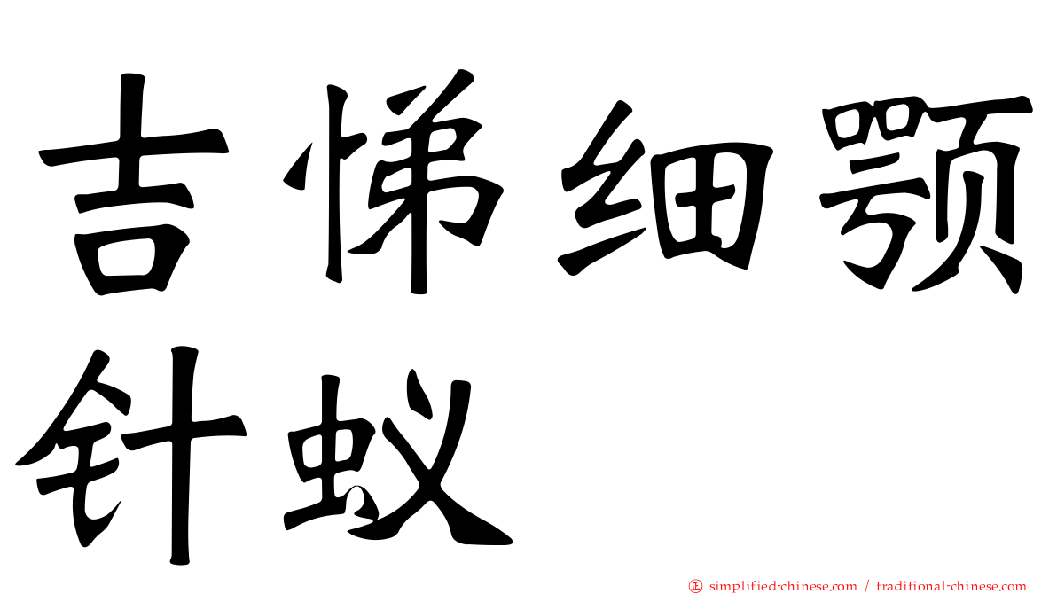 吉悌细颚针蚁