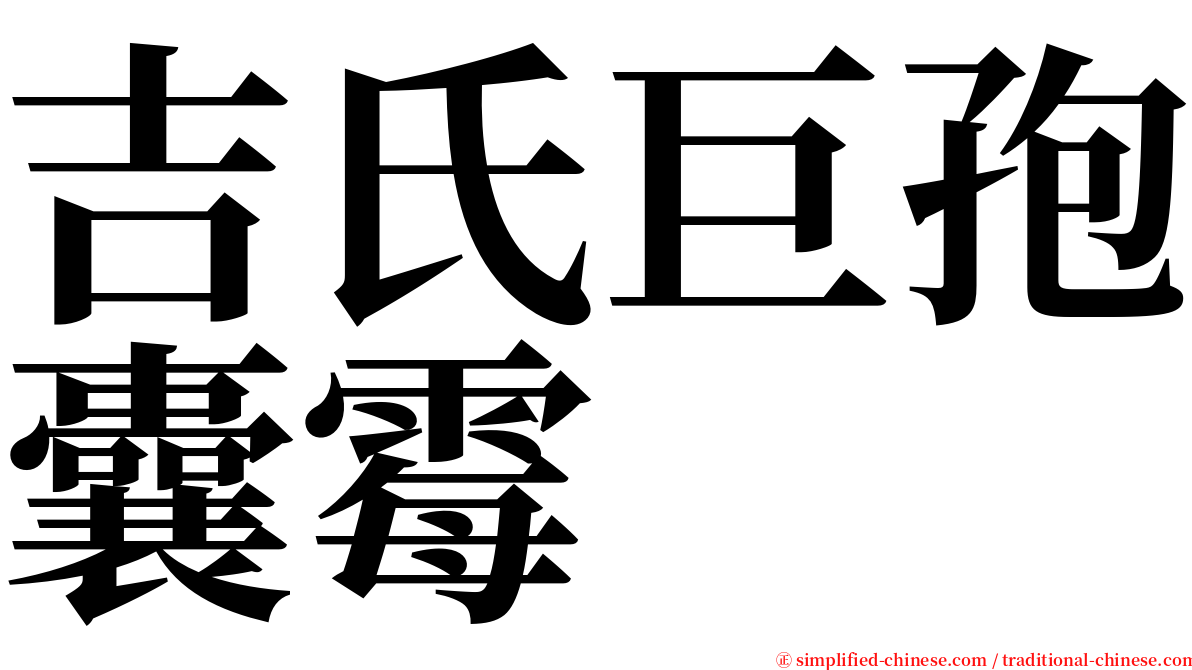 吉氏巨孢囊霉 serif font
