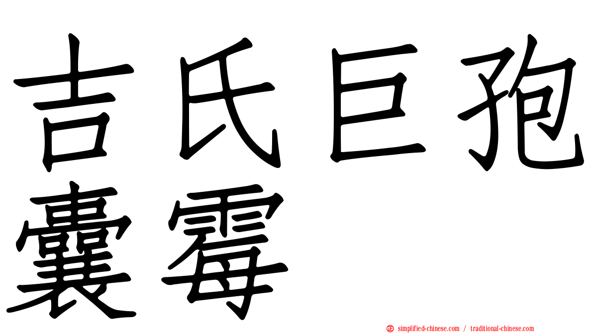 吉氏巨孢囊霉