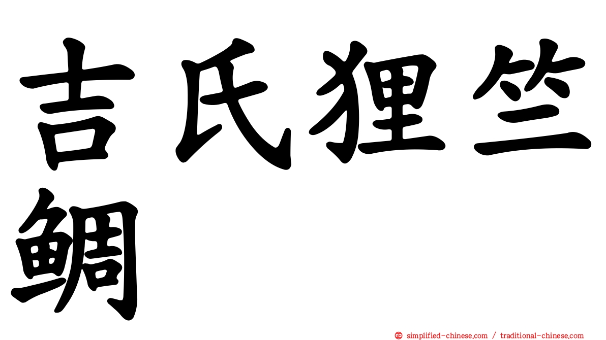 吉氏狸竺鲷