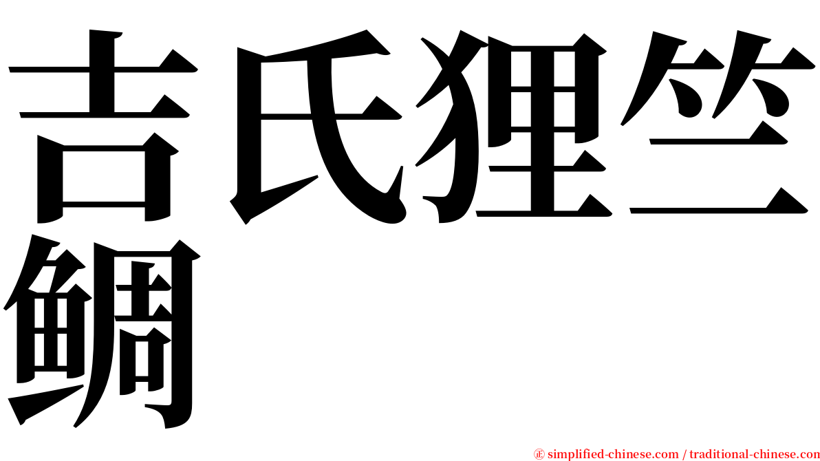 吉氏狸竺鲷 serif font