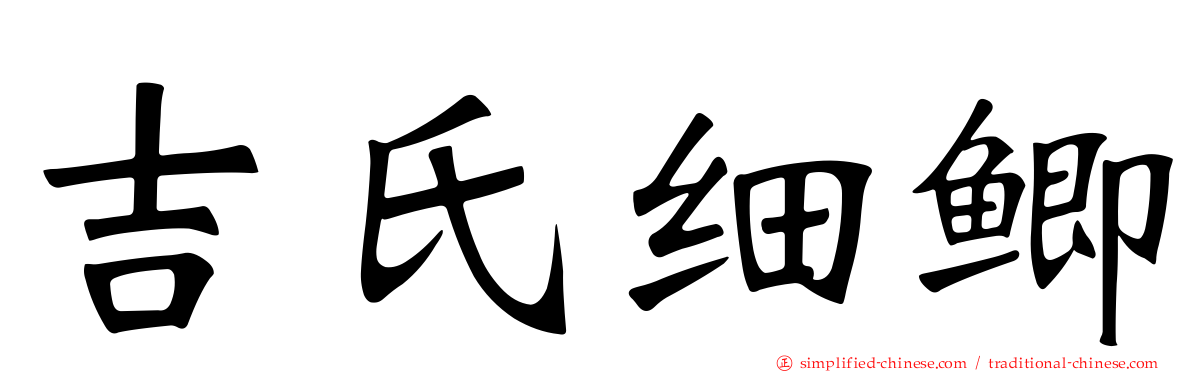 吉氏细鲫