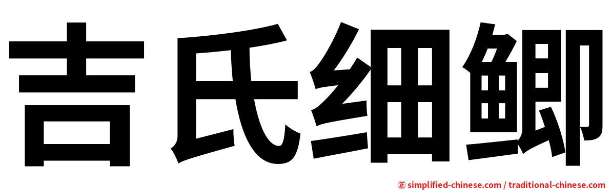 吉氏细鲫