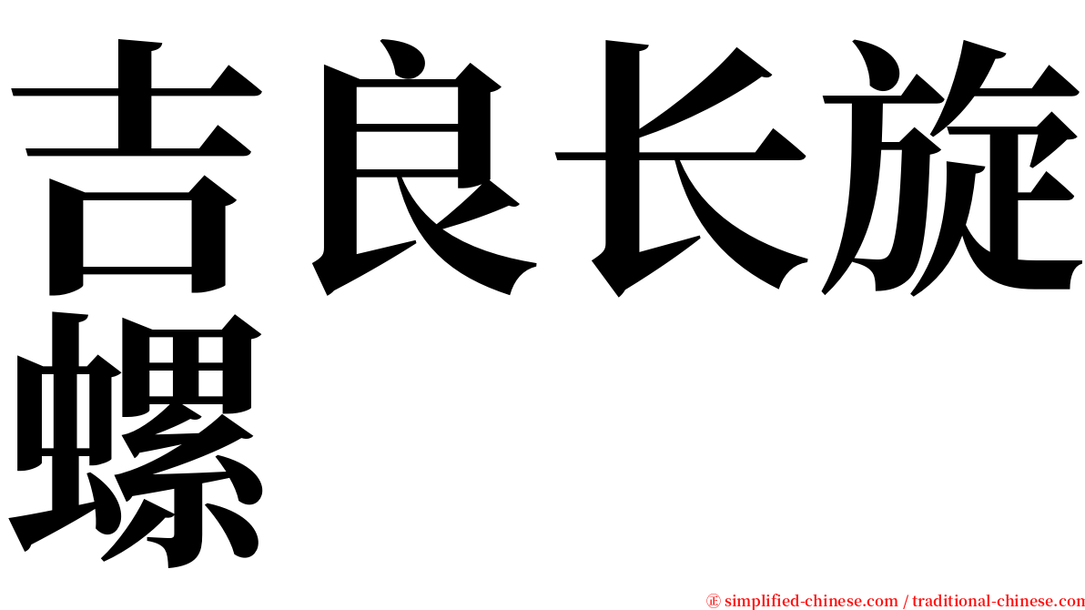 吉良长旋螺 serif font