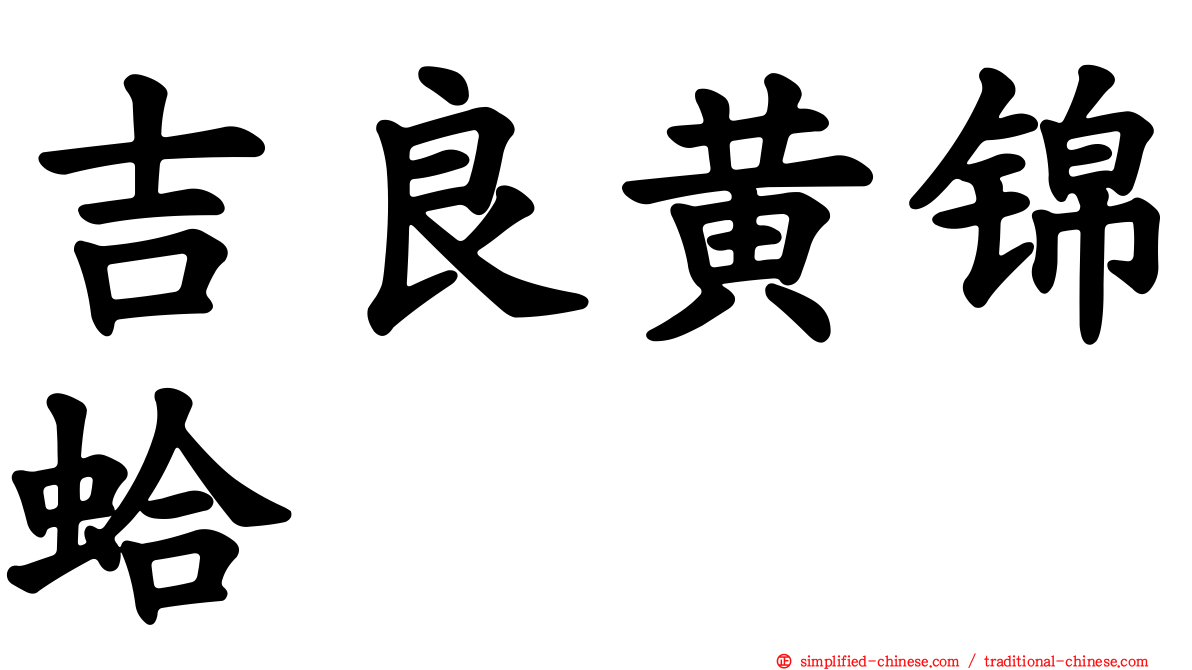 吉良黄锦蛤