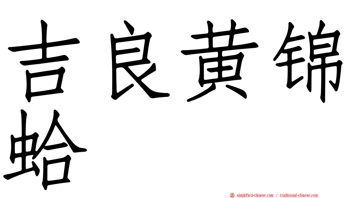 吉良黄锦蛤