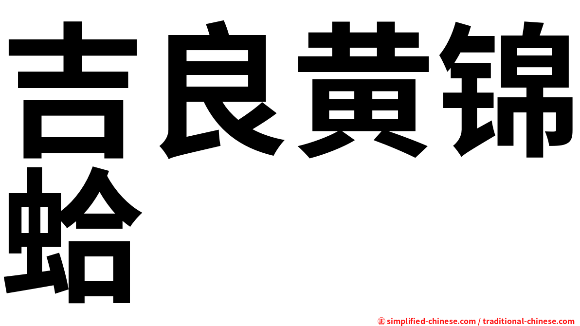 吉良黄锦蛤