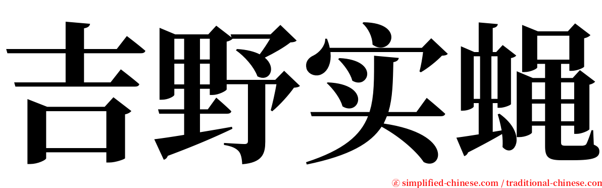 吉野实蝇 serif font