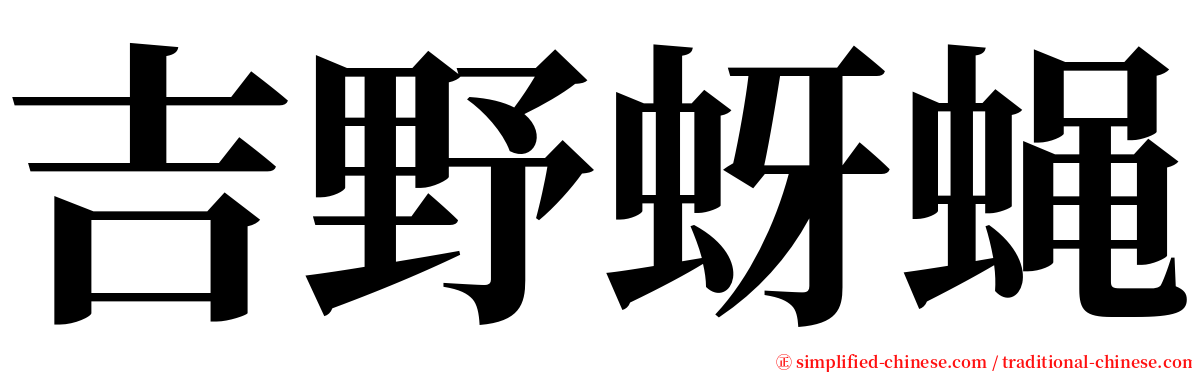 吉野蚜蝇 serif font
