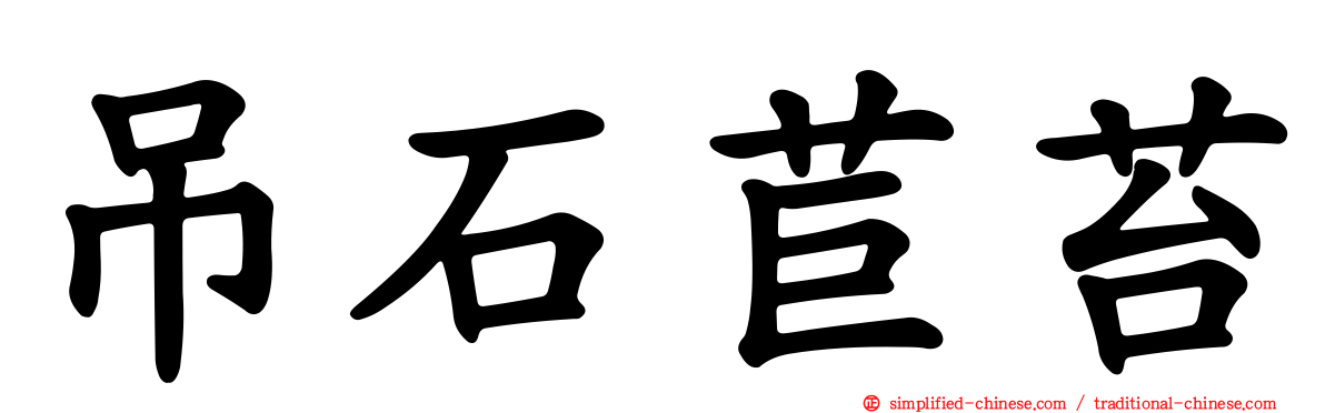 吊石苣苔