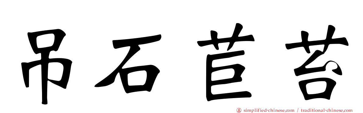 吊石苣苔