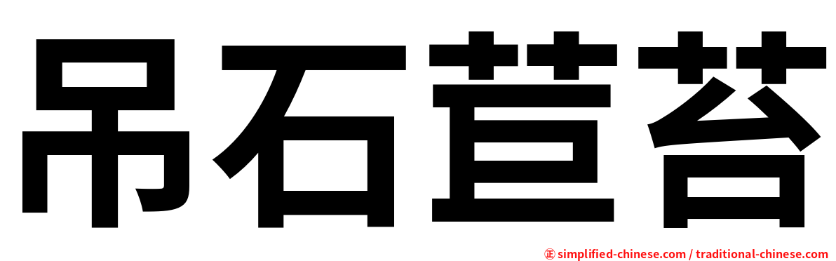 吊石苣苔