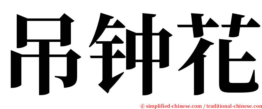 吊钟花 serif font