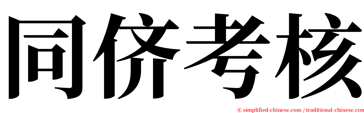 同侪考核 serif font