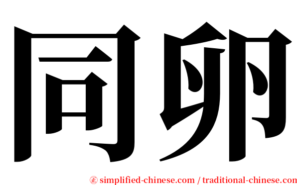 同卵 serif font