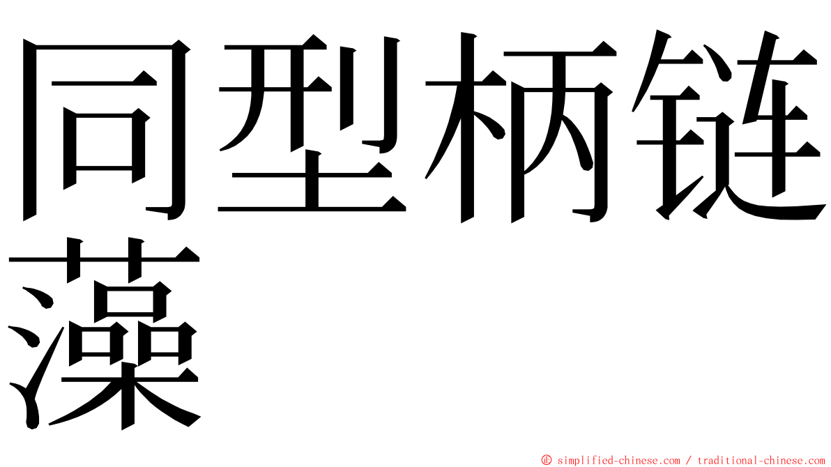 同型柄链藻 ming font
