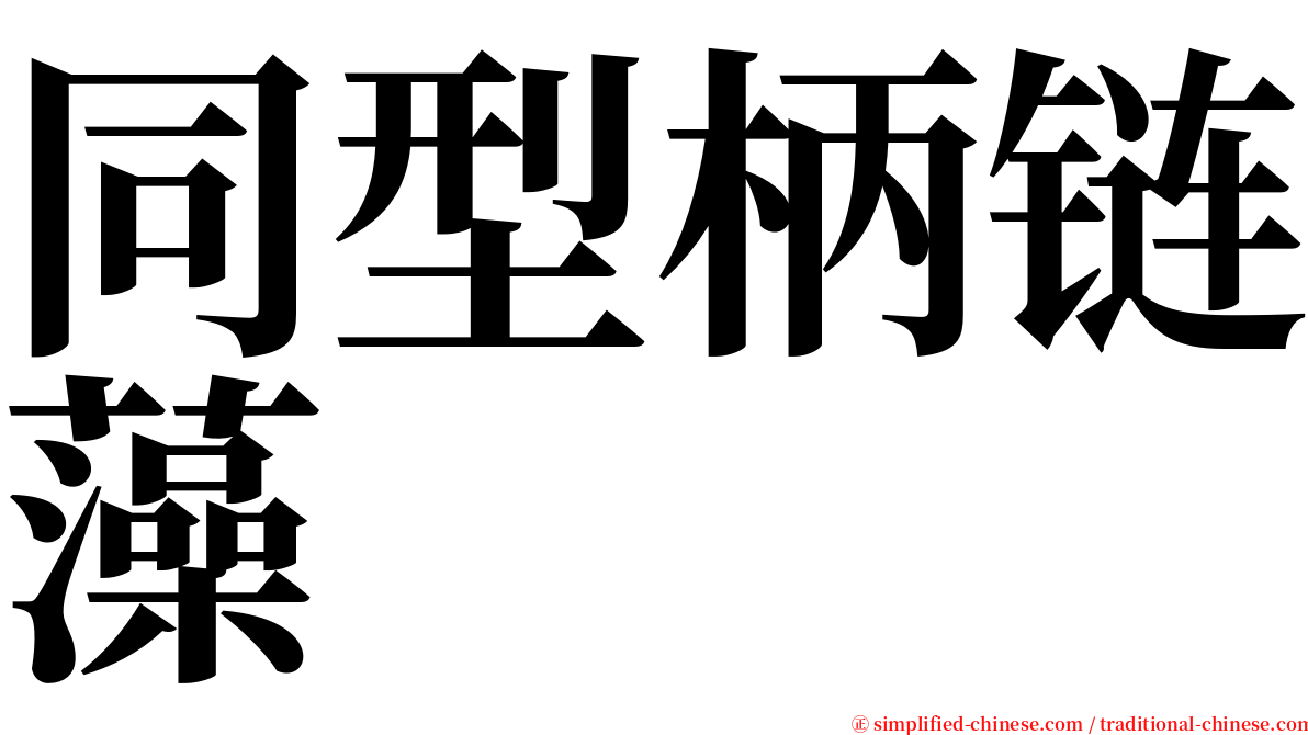 同型柄链藻 serif font