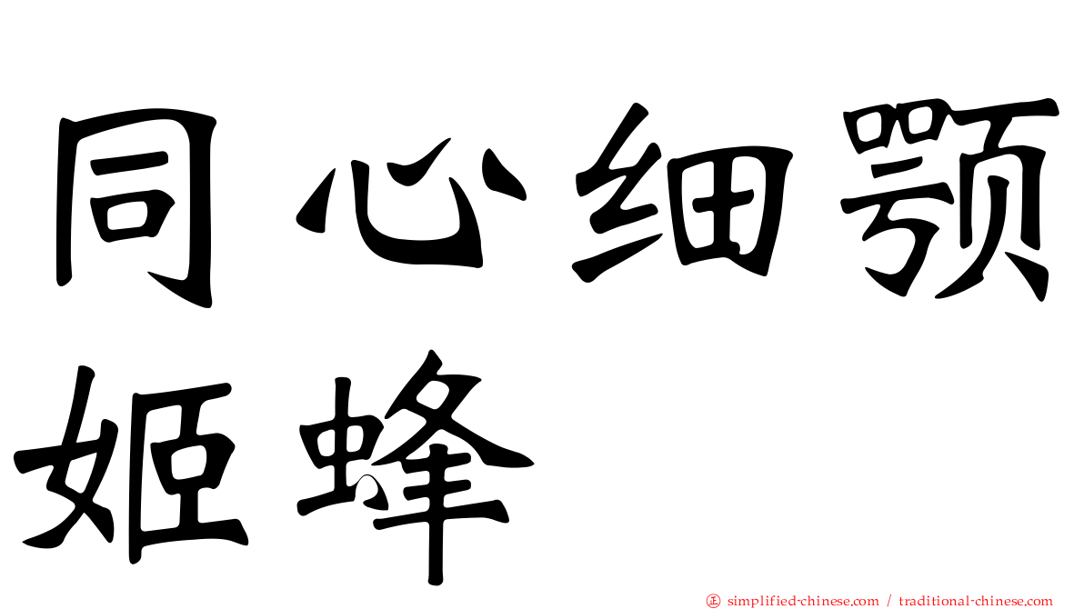 同心细颚姬蜂