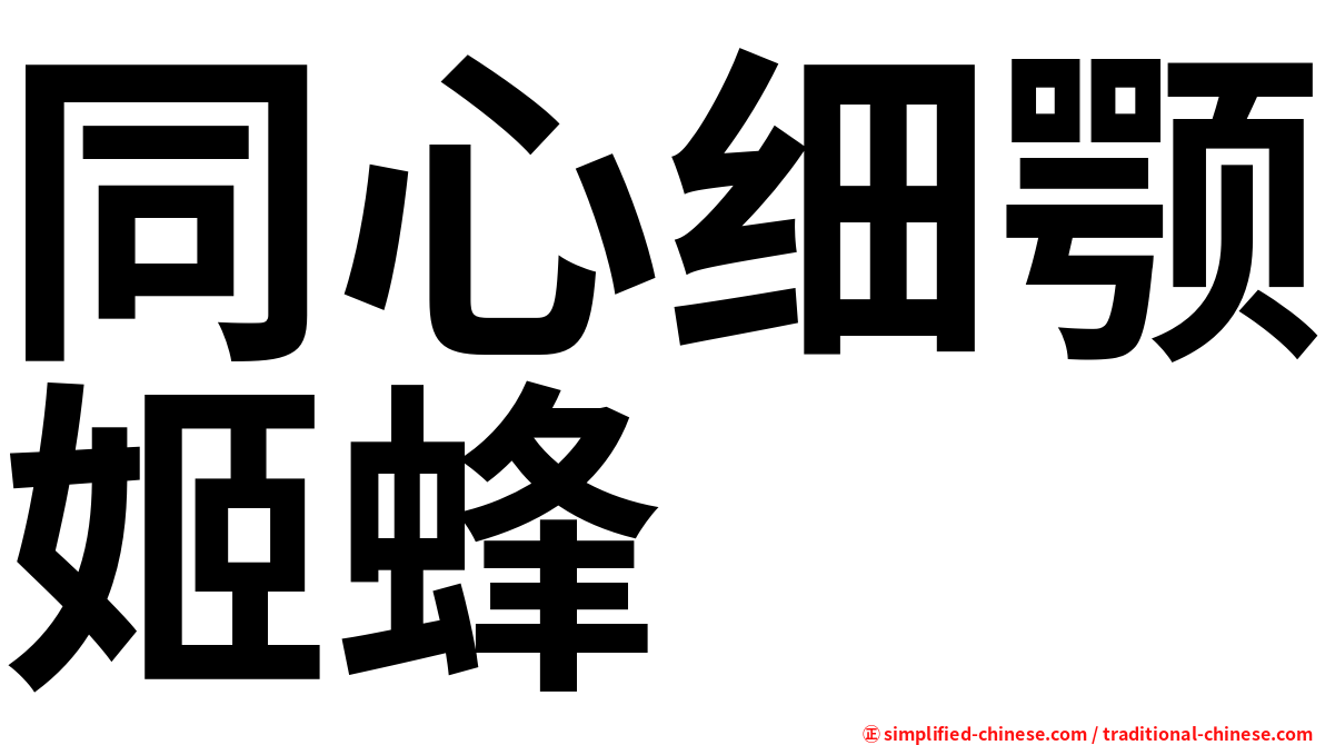 同心细颚姬蜂