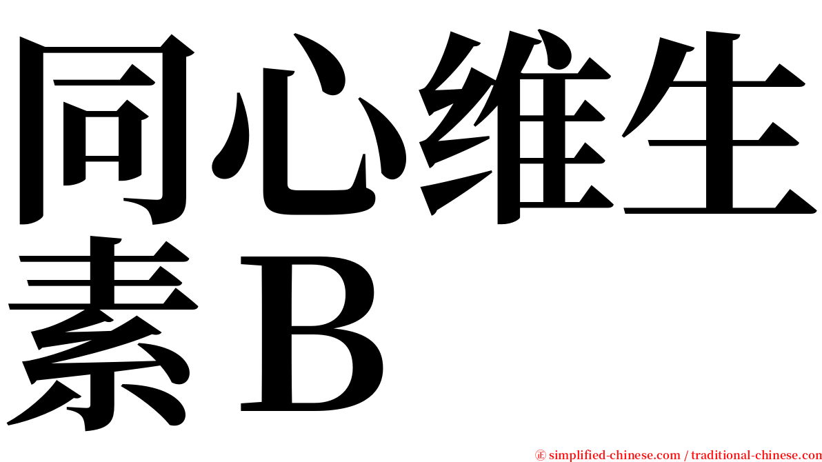 同心维生素Ｂ serif font