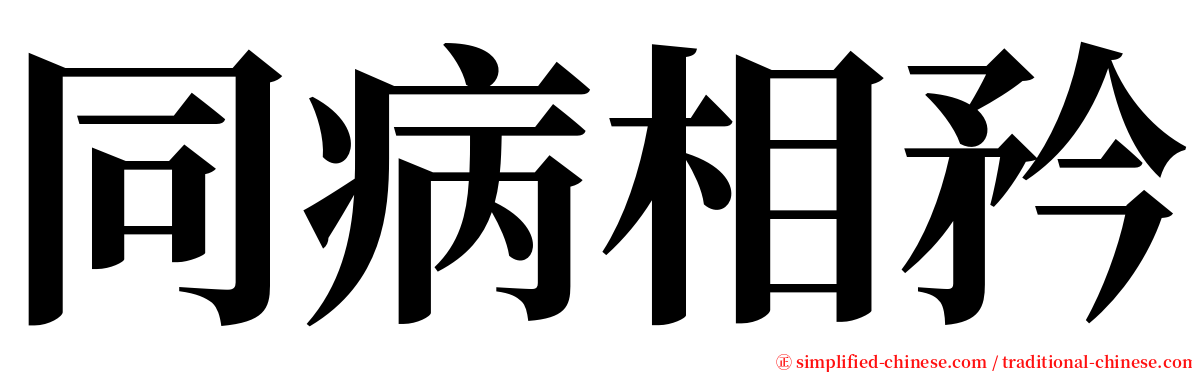 同病相矜 serif font