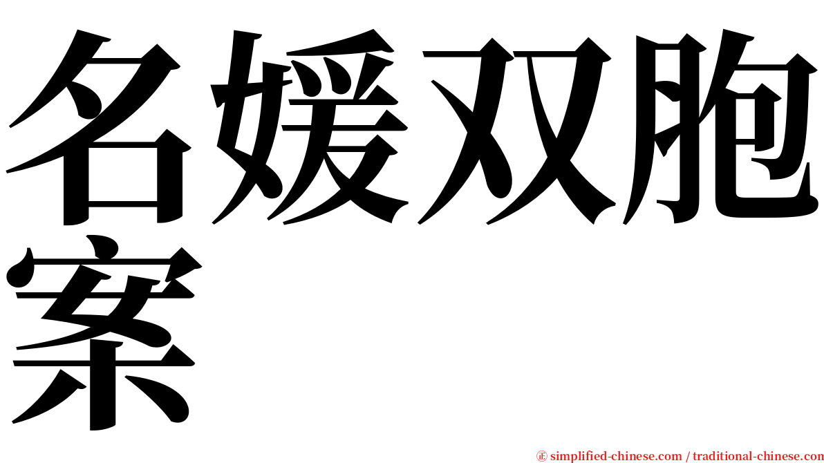 名媛双胞案 serif font