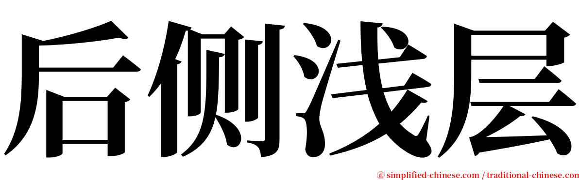 后侧浅层 serif font