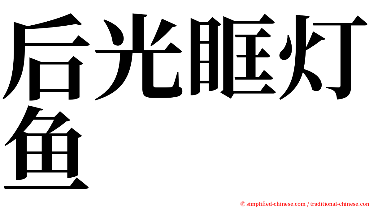 后光眶灯鱼 serif font