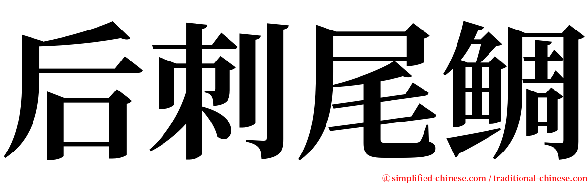 后刺尾鲷 serif font