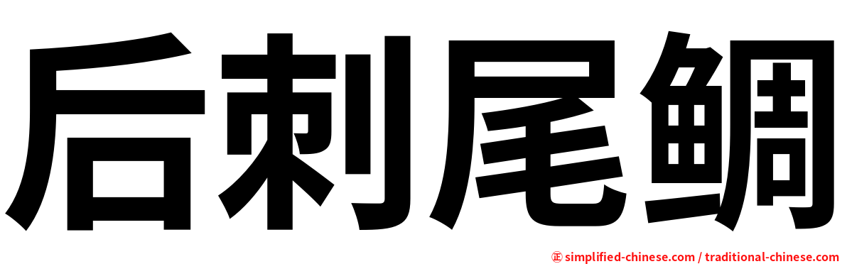 后刺尾鲷