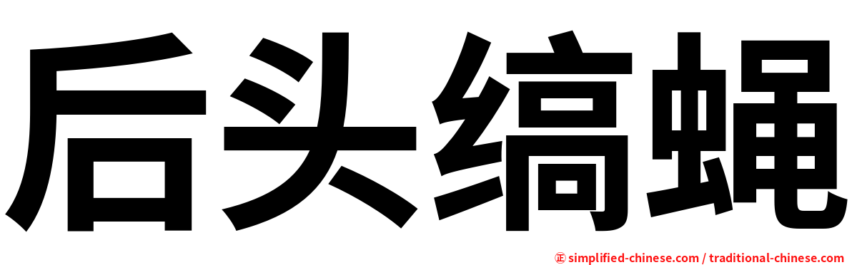 后头缟蝇
