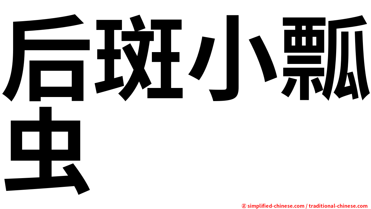 后斑小瓢虫