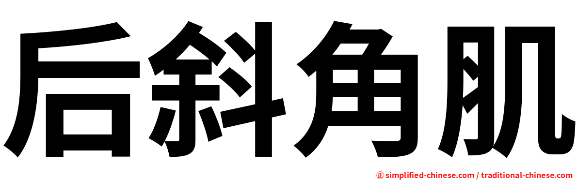 后斜角肌