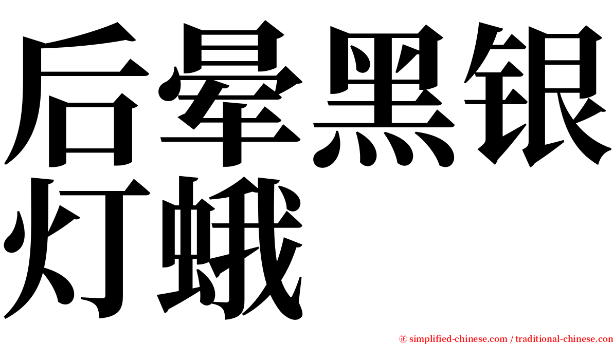 后晕黑银灯蛾 serif font