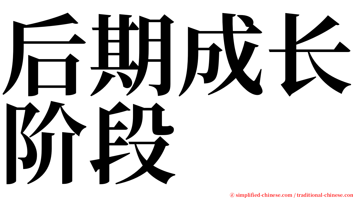 后期成长阶段 serif font