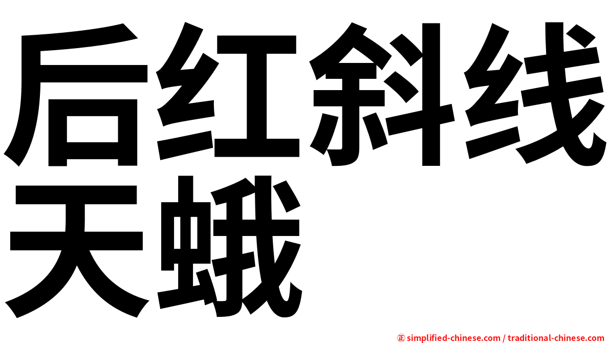 后红斜线天蛾